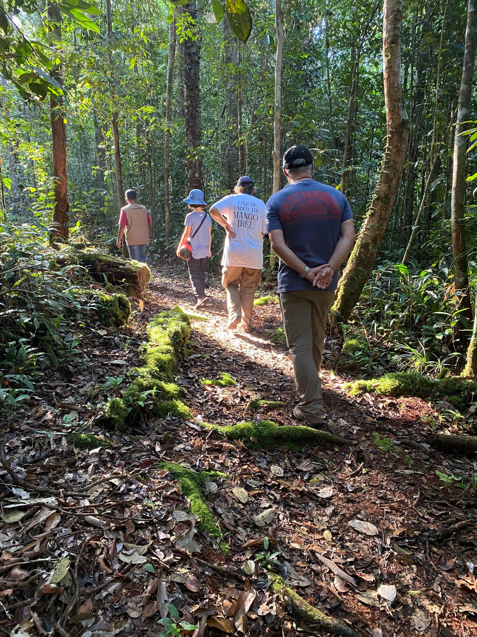 Borneo Wildlife Safari | Orangutan Tour in Kalimantan & Wildlife Adventure